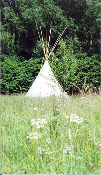 Tipi