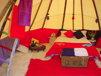 Tipi